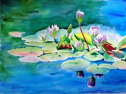 lily pond